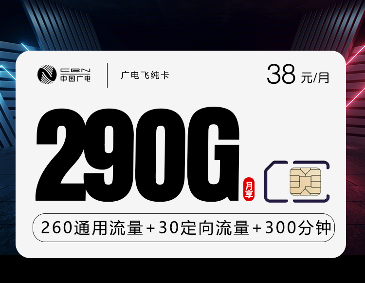 广电飞纯卡 【38元290G+300分钟】