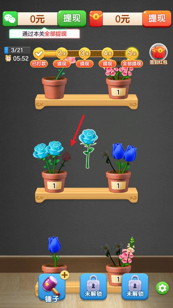 富贵花开 富贵花开