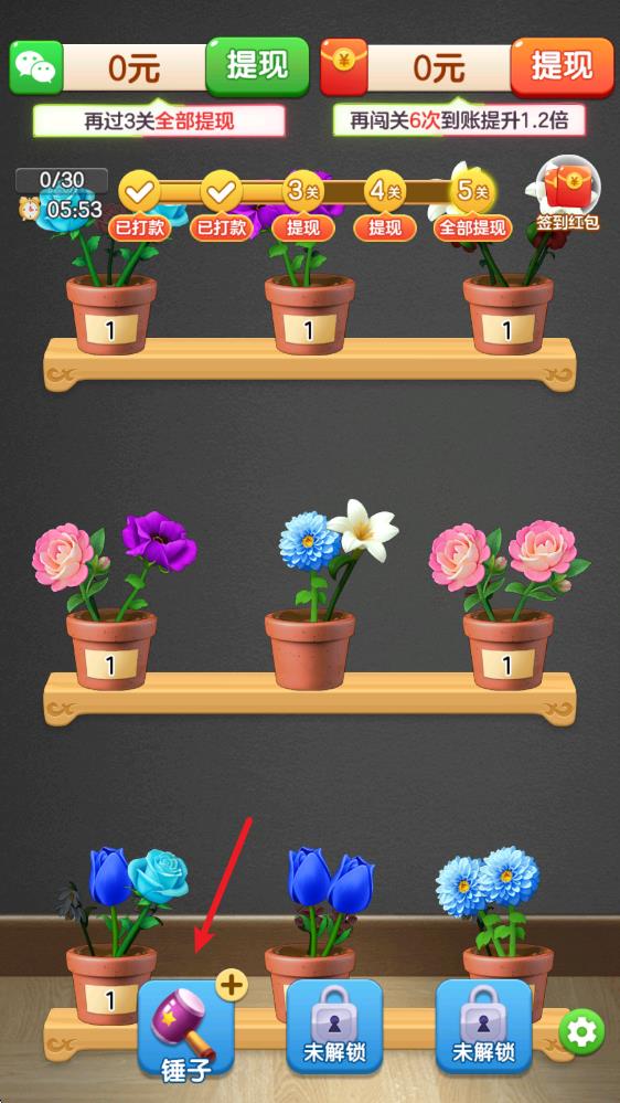 富贵花开 富贵花开