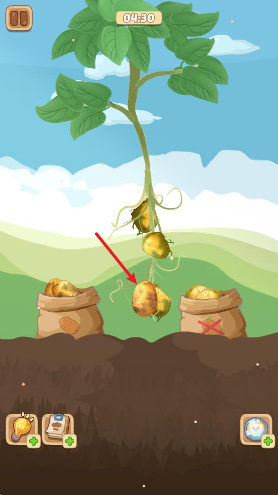 烹饪王国中文版