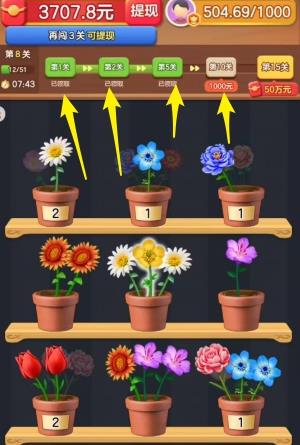 花朵小院 花朵小院