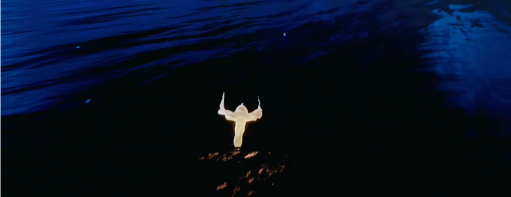 光遇躲猫猫可以触发什么 光遇躲猫猫可以触发什么