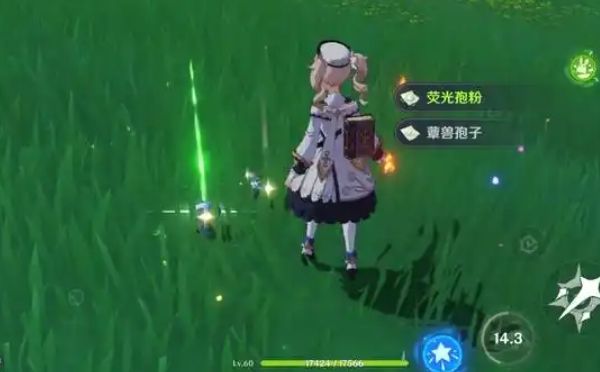 原神草主怎么玩