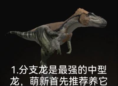 泰坦之路国际服 泰坦之路国际服