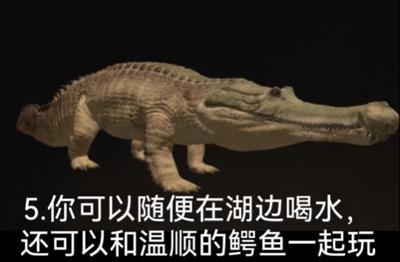 泰坦之路国际服 泰坦之路国际服