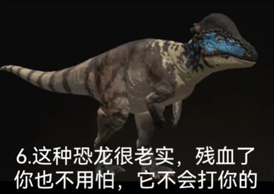 泰坦之路国际服 泰坦之路国际服