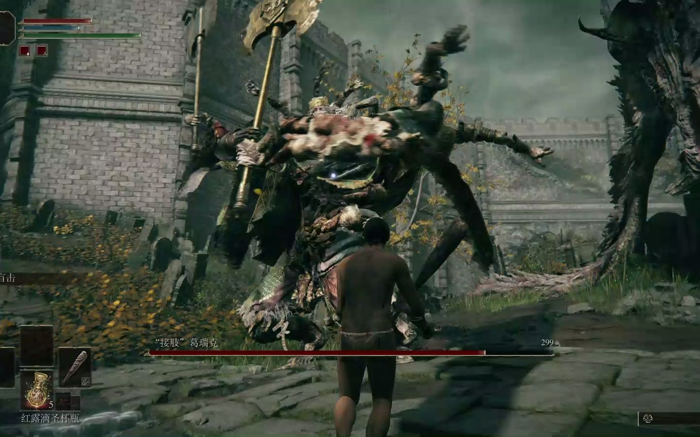 艾尔登法环怎么玩