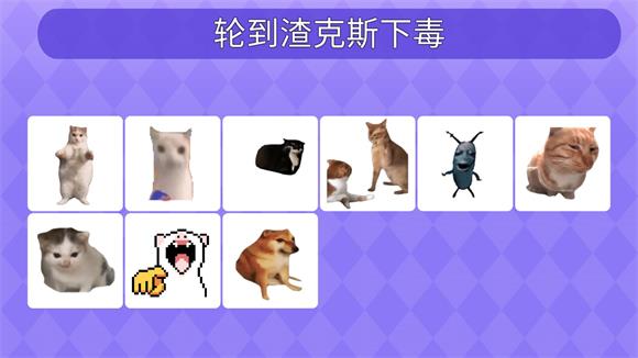 女巫的毒药猫meme版 女巫的毒药猫meme版