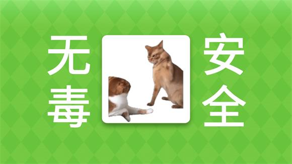 女巫的毒药猫meme版截图2