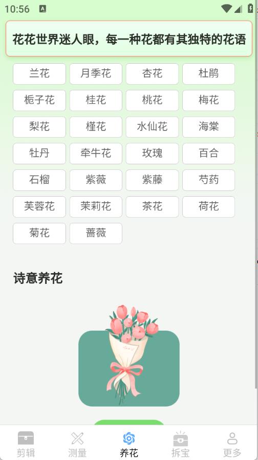 真能帮工具箱截图1