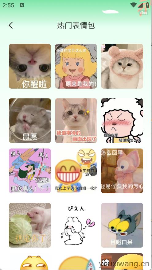 全网免费壁纸截图1