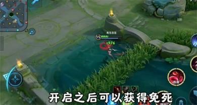 王者荣耀前瞻版