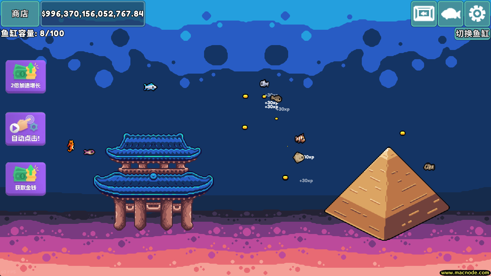 轻松水族馆官方正版