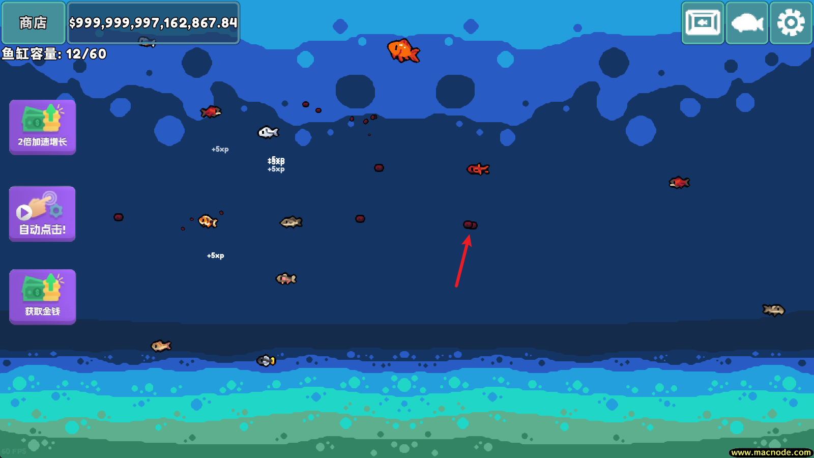 轻松水族馆官方正版