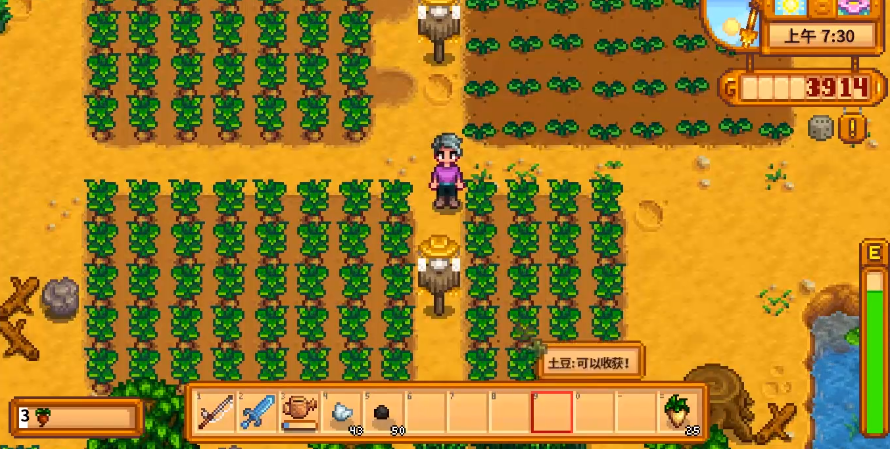 星露谷物语春夏种什么作物