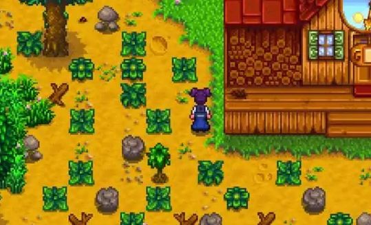 星露谷物语宝石复制机怎么获得