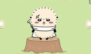 口袋吉伊卡哇日服手机版