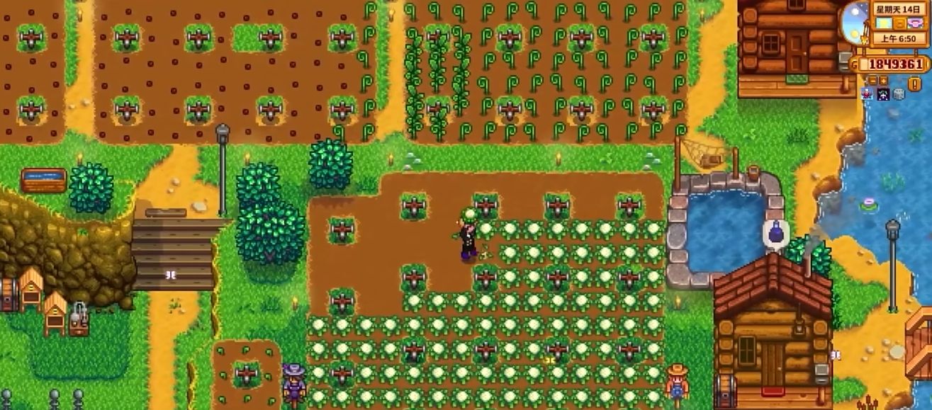 星露谷物语花椰菜的收益怎么样