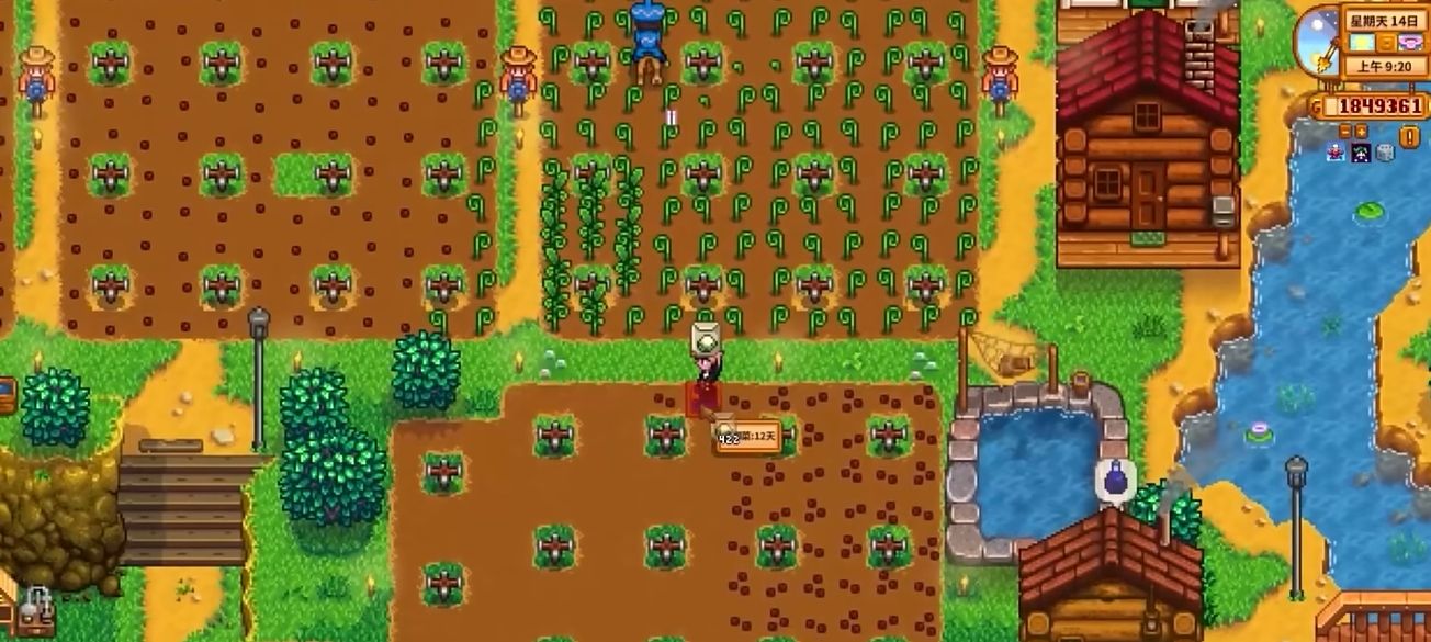 星露谷物语花椰菜的收益怎么样