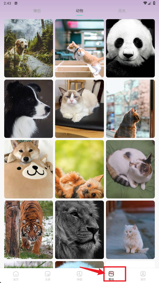 moliQ相机 moliQ相机