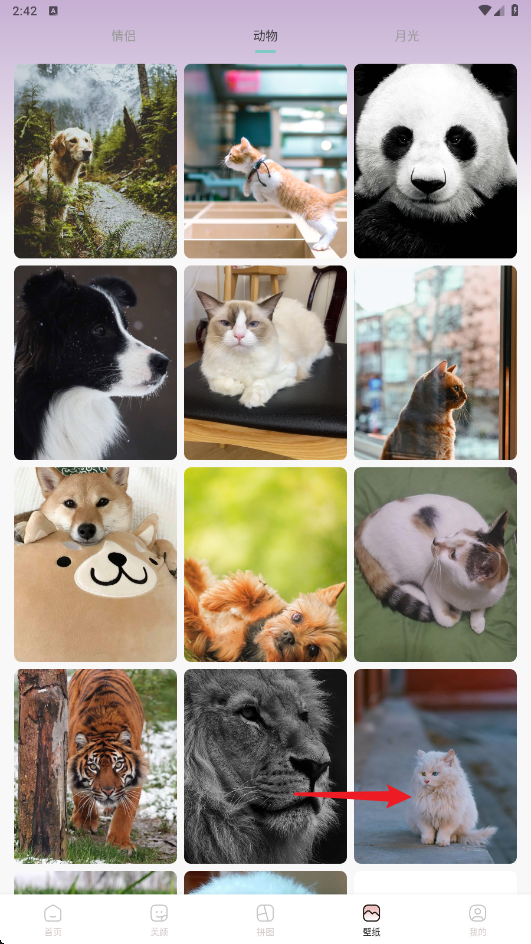 moliQ相机 moliQ相机