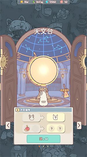 猫咪和汤 猫咪和汤