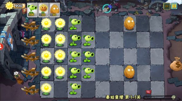 植物大战僵尸WENHUA版