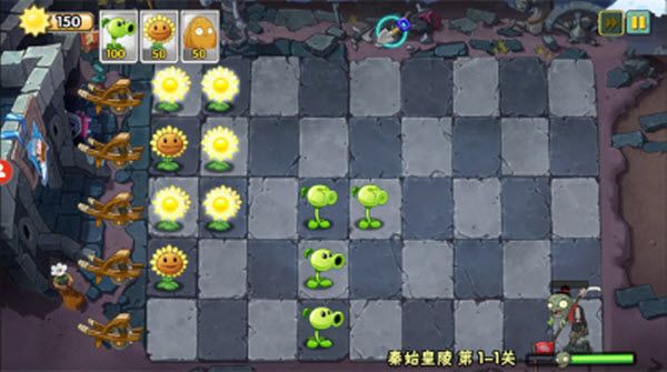 植物大战僵尸WENHUA版