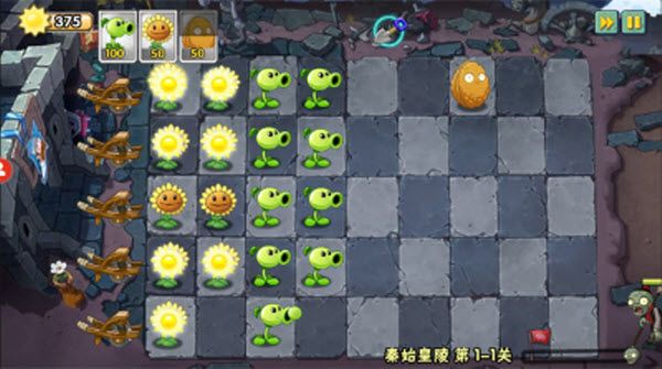 植物大战僵尸WENHUA版