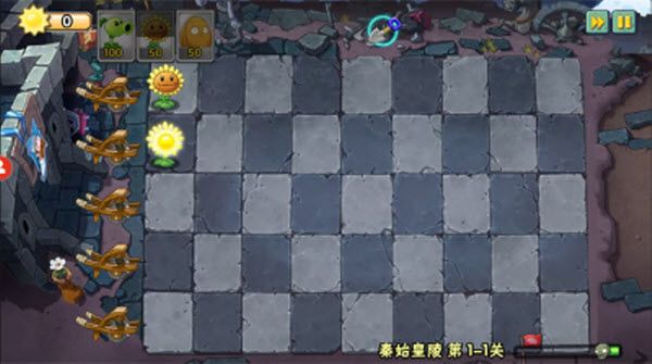 植物大战僵尸WENHUA版