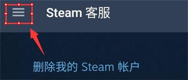 Steam Steam