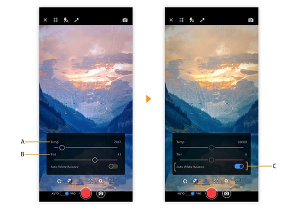 Premiere Rush手机版