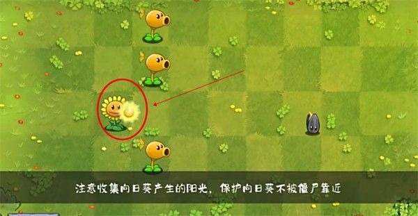 植物大战僵尸转基因版2.2.4