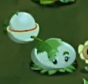 植物大战僵尸转基因版2.2.4