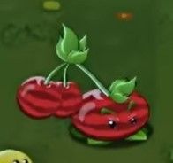 植物大战僵尸转基因版2.2.4