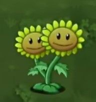 植物大战僵尸转基因版2.2.4