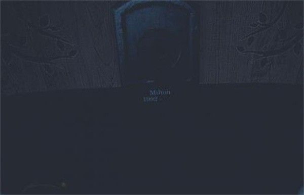 艾迪芬奇的记忆