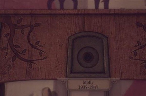 艾迪芬奇的记忆