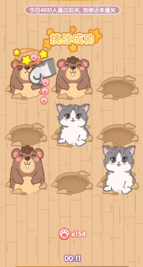 猫猫狗狗一起玩 猫猫狗狗一起玩