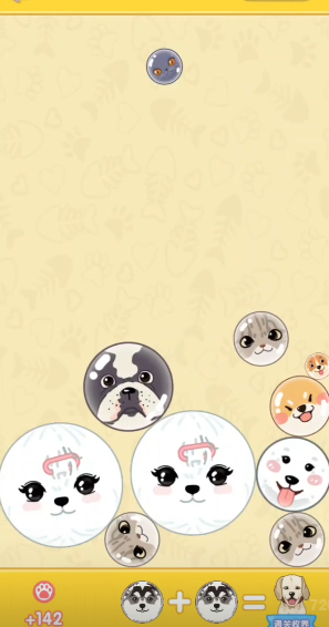 猫猫狗狗一起玩 猫猫狗狗一起玩