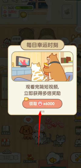 猫猫狗狗一起玩 猫猫狗狗一起玩