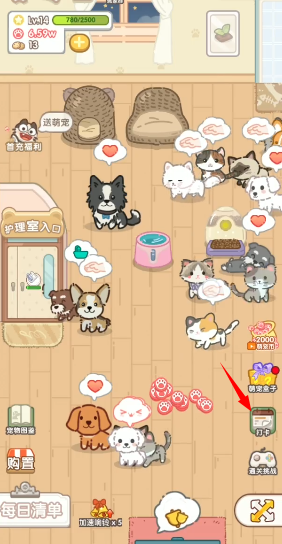 猫猫狗狗一起玩 猫猫狗狗一起玩