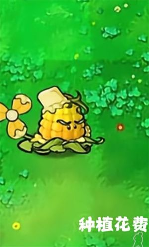 植物大战僵尸杂交版最新版