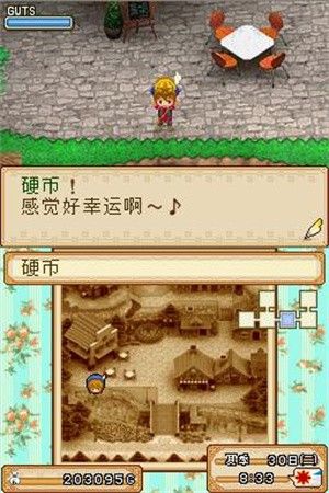 牧场物语风之集市