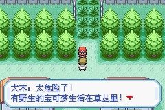 口袋妖怪火红扩展版 口袋妖怪火红扩展版