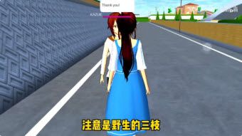 樱花校园模拟器