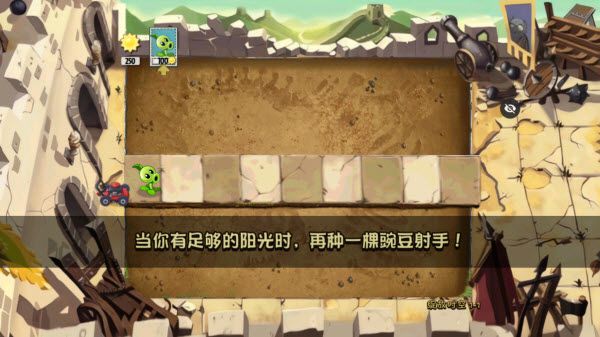 植物大战僵尸绽放时空