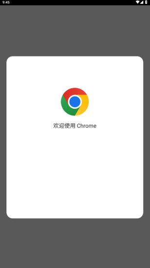 谷歌浏览器安卓版 谷歌浏览器安卓版