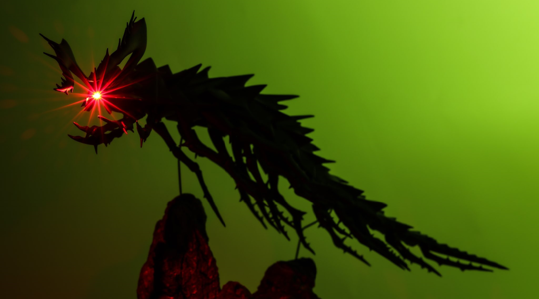 光遇在墓土掉的翅膀怎么找