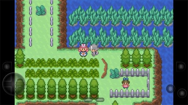 口袋妖怪生与死